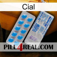 Cial new15